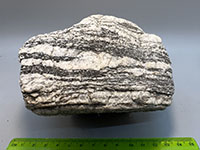 A black and white striped crystalline rock with crystal oriented along layers.